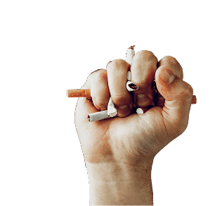 An clenched fist breaking cigarettes on a light blue background, representing the NHS quit smoking support service